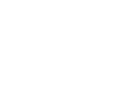 Lenyes logo